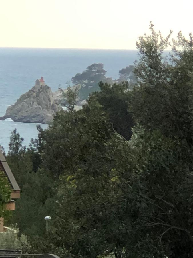 Apartmani Lime Petrovac 외부 사진